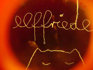 elffriede.net