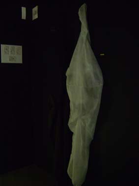 elffriede